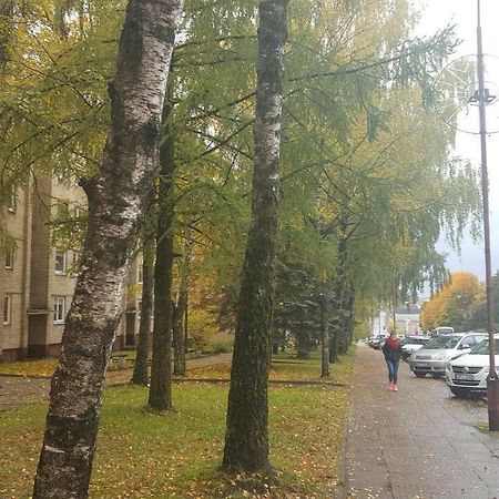 Apartamentai Vilniaus Street Šiauliai 외부 사진